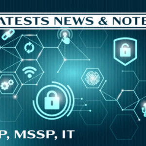 MSP MSSP IT Industry Notes January 24th 2021.pdf